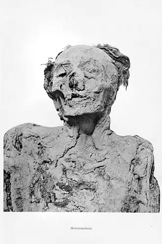 Koningin van het Nieuwe Rijk