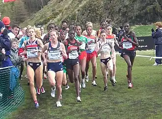 Wereldkampioenschappen veldlopen 2008