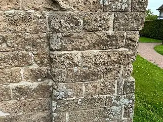 De associatie van oosterse schotelkorst