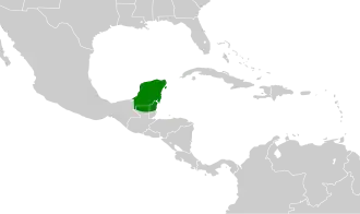 Yucatántiran
