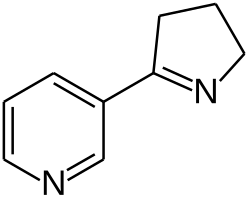 Structuurformule van myosmine