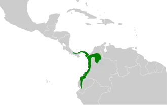 Pacifische miersluiper