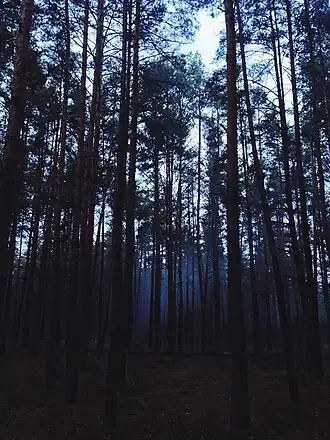 Nationaal Park Zalissja