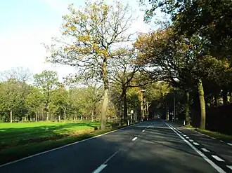 De N119 richting Nederland