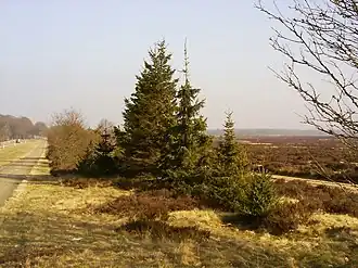 De N224 doorsnijdt de Ginkelse Heide