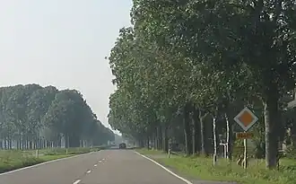 De N489 ter hoogte van Mijnsheerenland