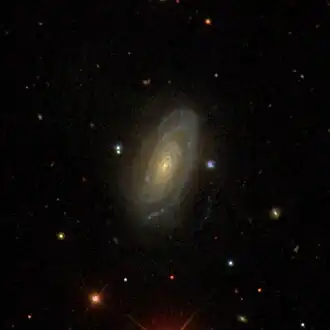 NGC 2955