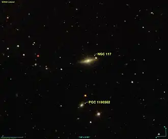 NGC 117