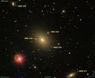 NGC 313