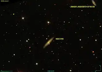 NGC 919