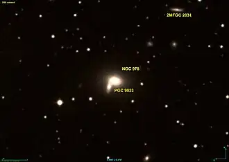 NGC 978