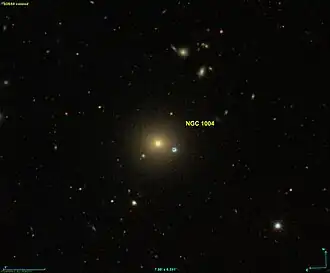 NGC 1004