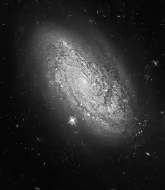 NGC 3021