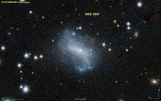 NGC 3037