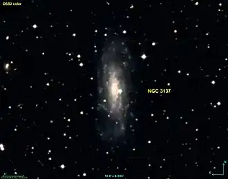 NGC 3137