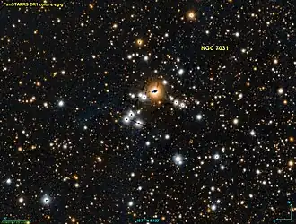 NGC 7031