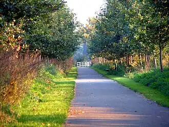 Herftskleuren in Uden-Zuid
