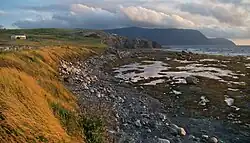 Rotsachtige kust aan de rand van Rocky Harbour