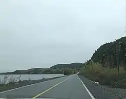 Route 310 vlak naast de Northeast Arm aan de oostrand van het NP Terra Nova