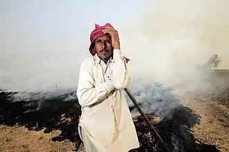 Een boer staat met zijn linkerhand op het hoofd voor brandende rijstresten na de oogst, om het land snel klaar te maken voor het planten van tarwe, rond Sangrur, Zuidoost Punjab, India.