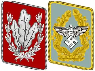 Kraagspiegels van de korpsleiders van NSKK en NSFK.