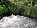 Rivier Queiles bij Vozmediano