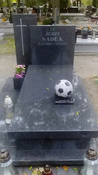 Graf van Sadek in Łódź