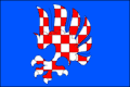 Vlag