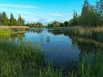 Gezicht op een deel van het NAM-park