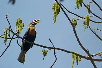 gefotografeerd op het eiland