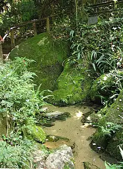 Bron van de Tietê in Salesópolis: het water kabbelt over stenen.