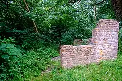 Restanten in 2021 gezien vanaf de weg met op de achtergrond overwoekerde delen