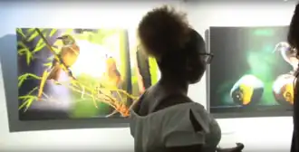 Nationale Kunstbeurs in het Hotel Krasnapolsky, 2018