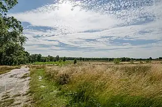 SP 10 Maas-Niederrheinpad: Nationaal Park Maasduinen