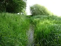 Sloot bij de Holländerdeich