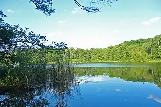 Natuurgebieden en meren rond Müggelheim