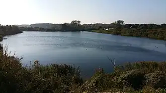 Overzicht van het duinmeer in het Wethouder van Gekukpark