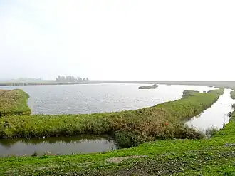 Natuurgebied de Nek aan het Hoornse Hop anno 2012