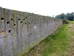 Nestwand voor oeverzwaluwen.