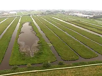 Plasdras-situatie in de Voorofsche Polder