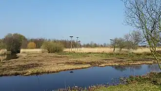 Ooievaarsnesten in Natuurpark Vrije Geer (maart 2019)