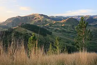 Hoogland van Nausori