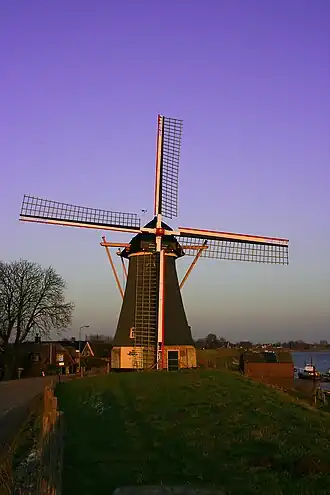 Gebr. Remmerde in de avondzon (2009)