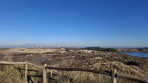 Op de Hazenberg in NP Kennemerduinen