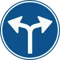 D7: Gebod tot het volgen van een van de rijrichtingen die op het bord zijn aangegeven (46, 47[10])