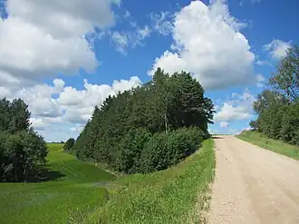 De Makita tee, een weg bij Neeruti