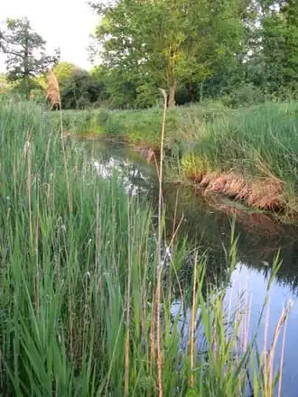 De Nemer achter Kasteel Nemerlaer