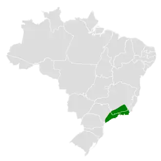 Pinto's tiranmanakin