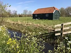 Schuur met schapen in de lente