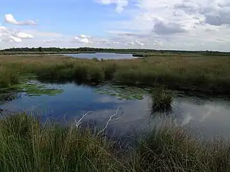 Nationaal Park De Groote Peel